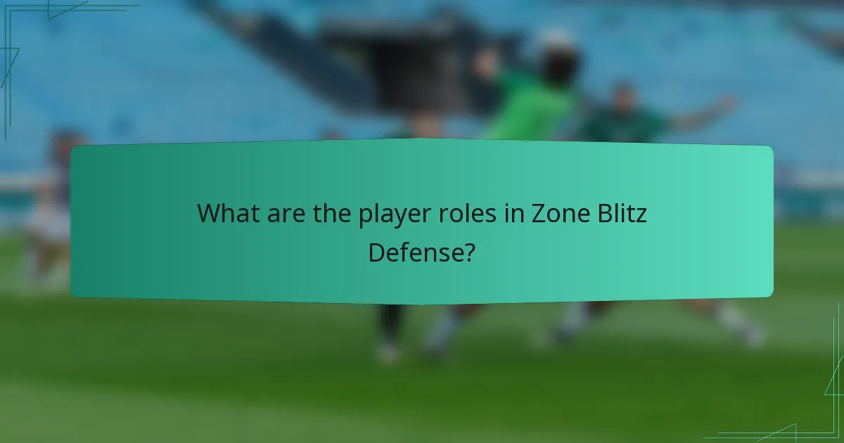 What are the player roles in Zone Blitz Defense?